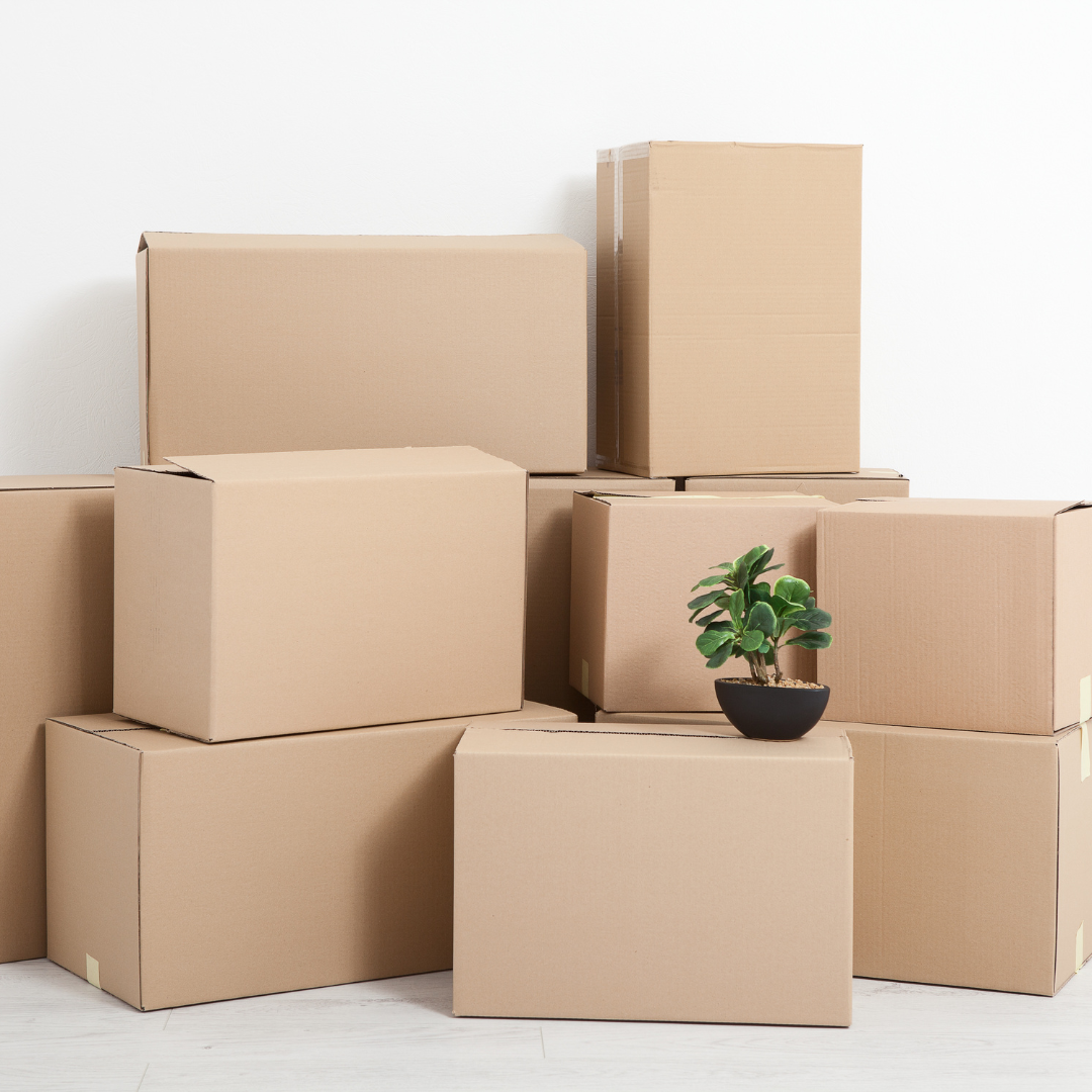 Onde comprar caixa de papelão – Washi Embalagens em São Paulo